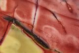 Colorful, Polished Mookaite Jasper Slab - Australia #239657-1